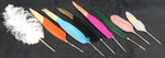 Colourful Feather Pens