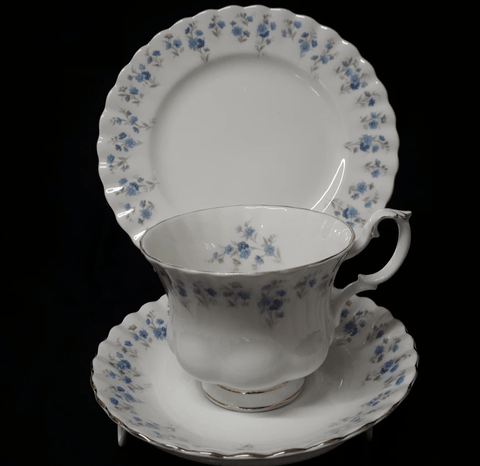 Memory Lane - Cup, Saucer and Plates